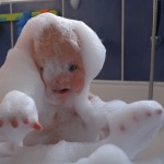 bubbles
