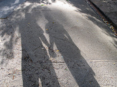 116734756_5965ceba9b_m